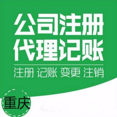 重庆南岸一般纳税人代理记账专业工商注册,财务记账代理专业团队